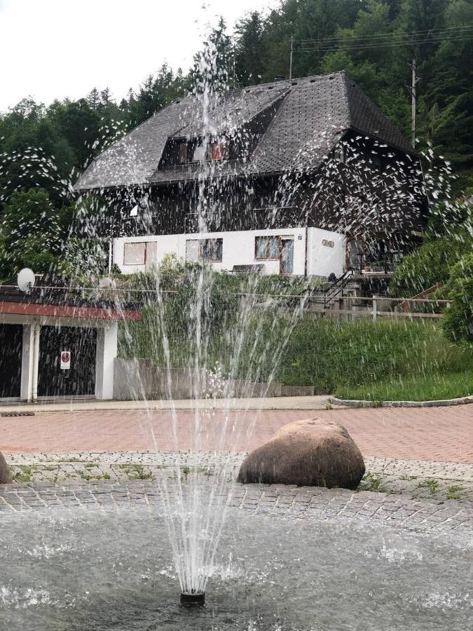 Апартаменти Haus Am Scheibenfelsen Санкт-Блазін Екстер'єр фото