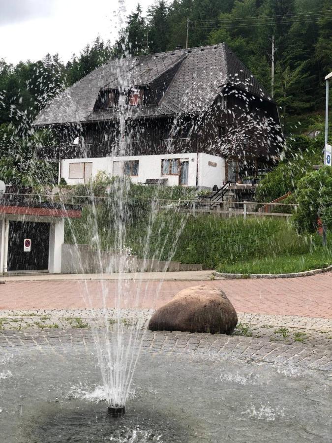 Апартаменти Haus Am Scheibenfelsen Санкт-Блазін Екстер'єр фото
