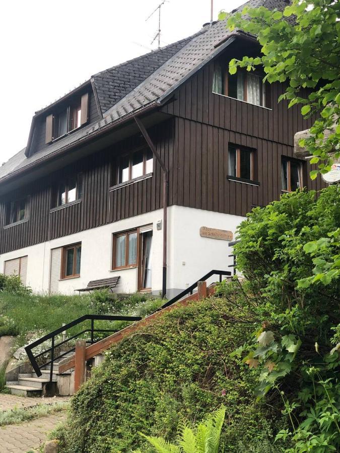 Апартаменти Haus Am Scheibenfelsen Санкт-Блазін Екстер'єр фото