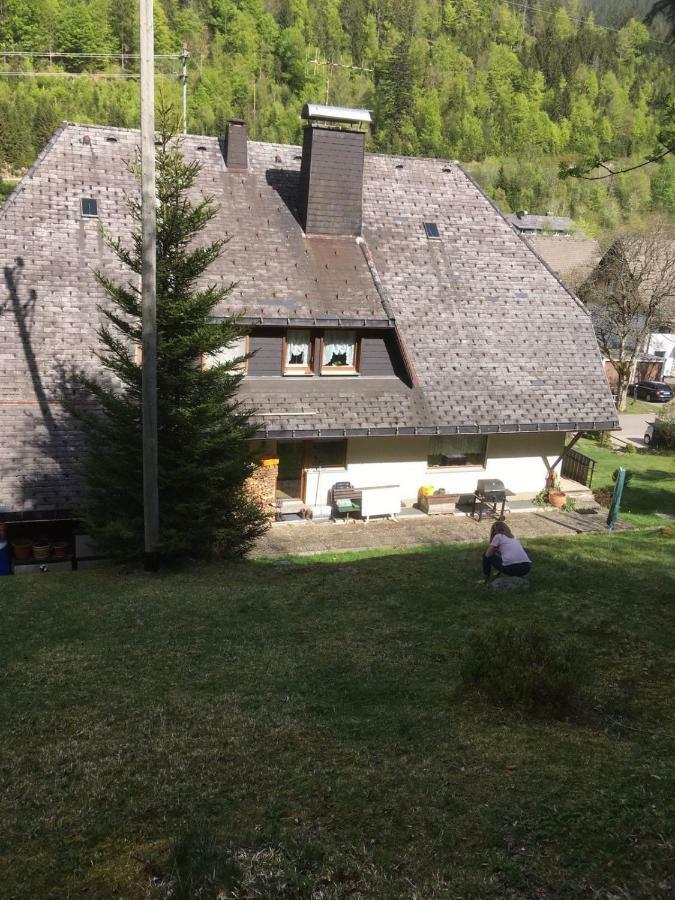 Апартаменти Haus Am Scheibenfelsen Санкт-Блазін Екстер'єр фото